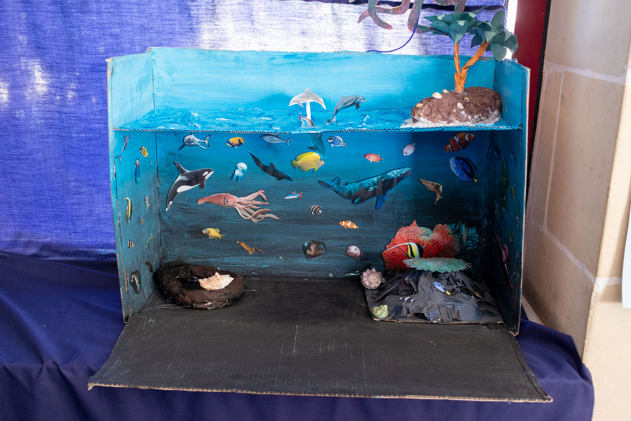 Ocean Ecosystem Project